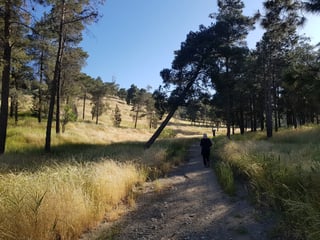 Hike in Sierra de Guadarrama
